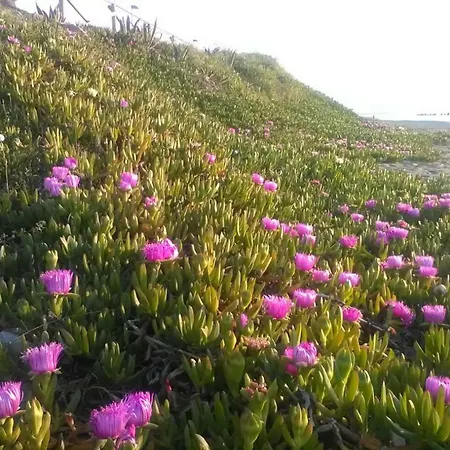 Casa Sul Mare Capo d'Orlando