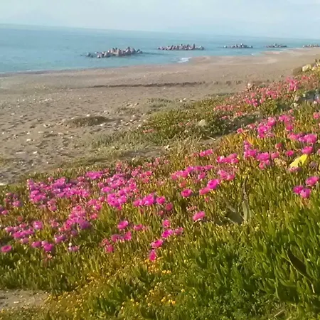 Casa Sul Mare Casa vacanze *
