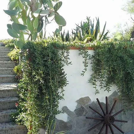 Casa Sul Mare 度假居 *